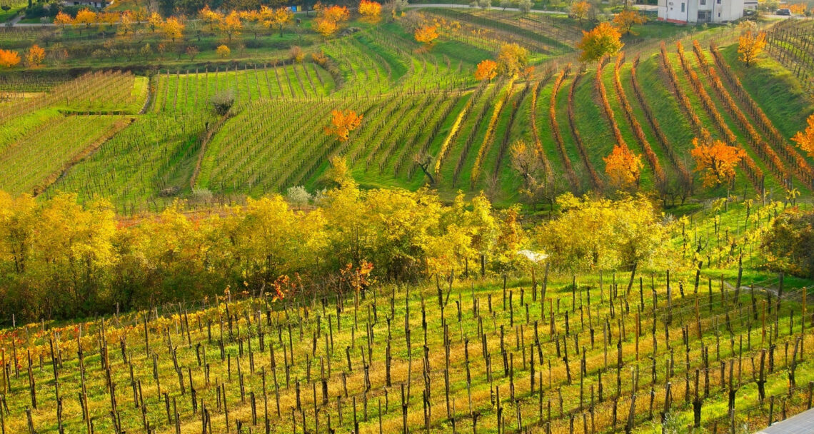 wine regions featured image
