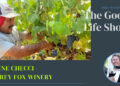 jeanne checci of grey fox winery featured image
