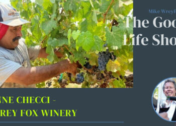 jeanne checci of grey fox winery featured image